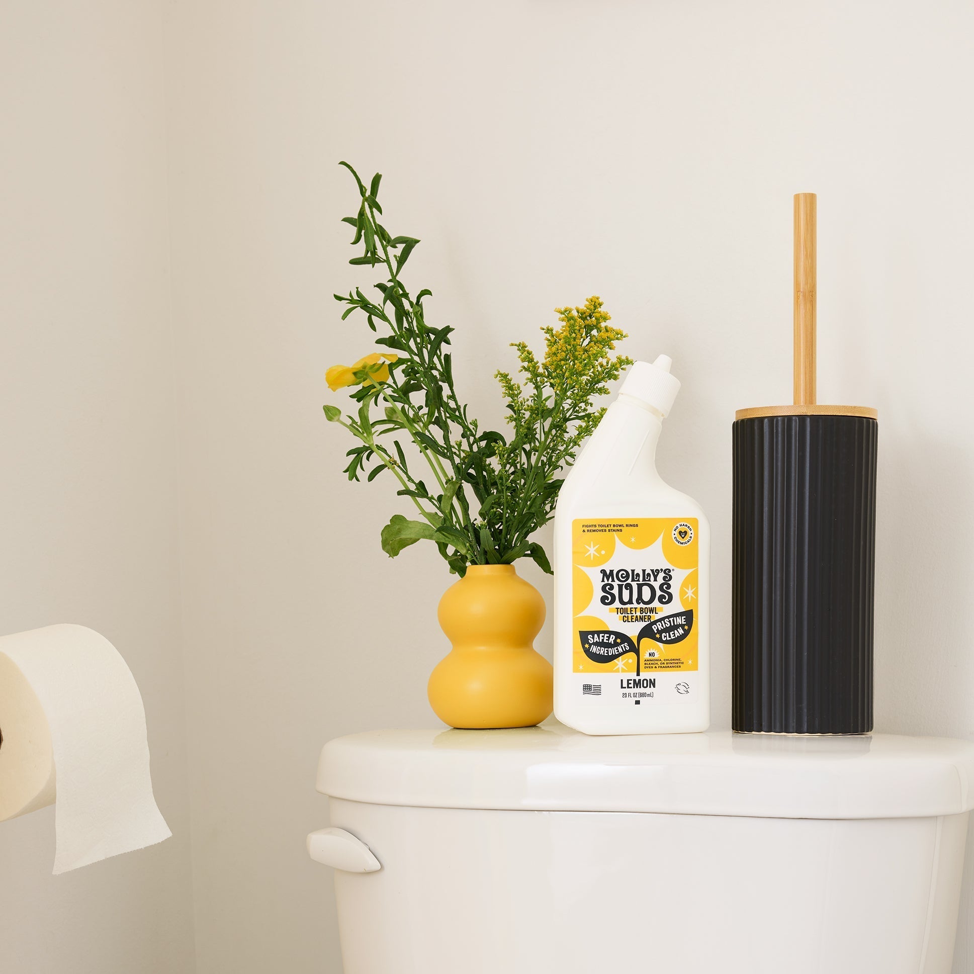 Toilet Bowl Cleaner